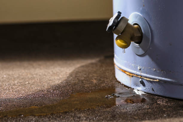 Best Emergency water extraction  in Alamo, GA