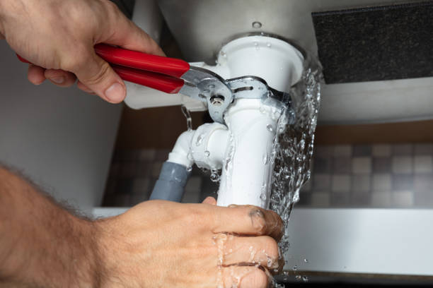 Best Water damage restoration near me  in Alamo, GA