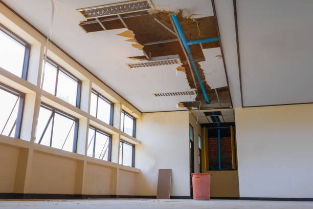 Best Water damage restoration specialists  in Alamo, GA