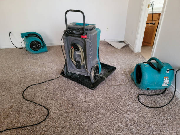 Best Water damage cleanup near me  in Alamo, GA