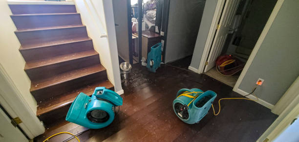 Best Basement water damage restoration  in Alamo, GA