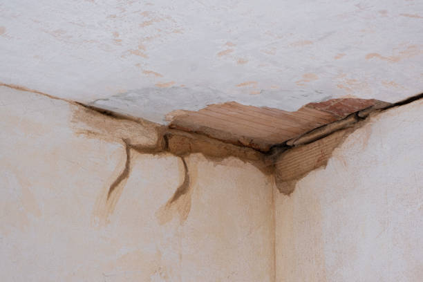 Best Fire Damage Restoration  in Alamo, GA