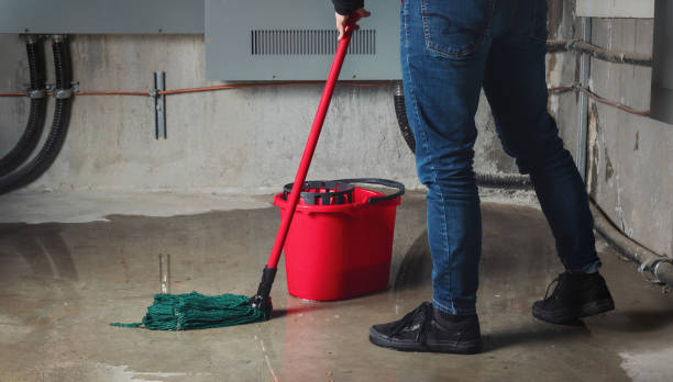Best Water damage restoration near me  in Alamo, GA