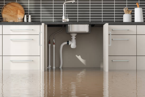 Best Water damage restoration process  in Alamo, GA