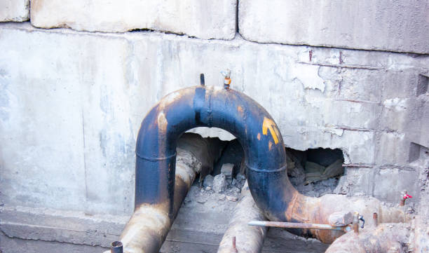 Best Residential water damage restoration  in Alamo, GA