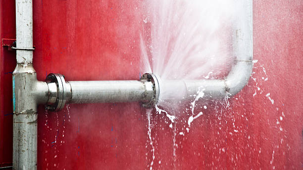 Best Residential water damage restoration  in Alamo, GA